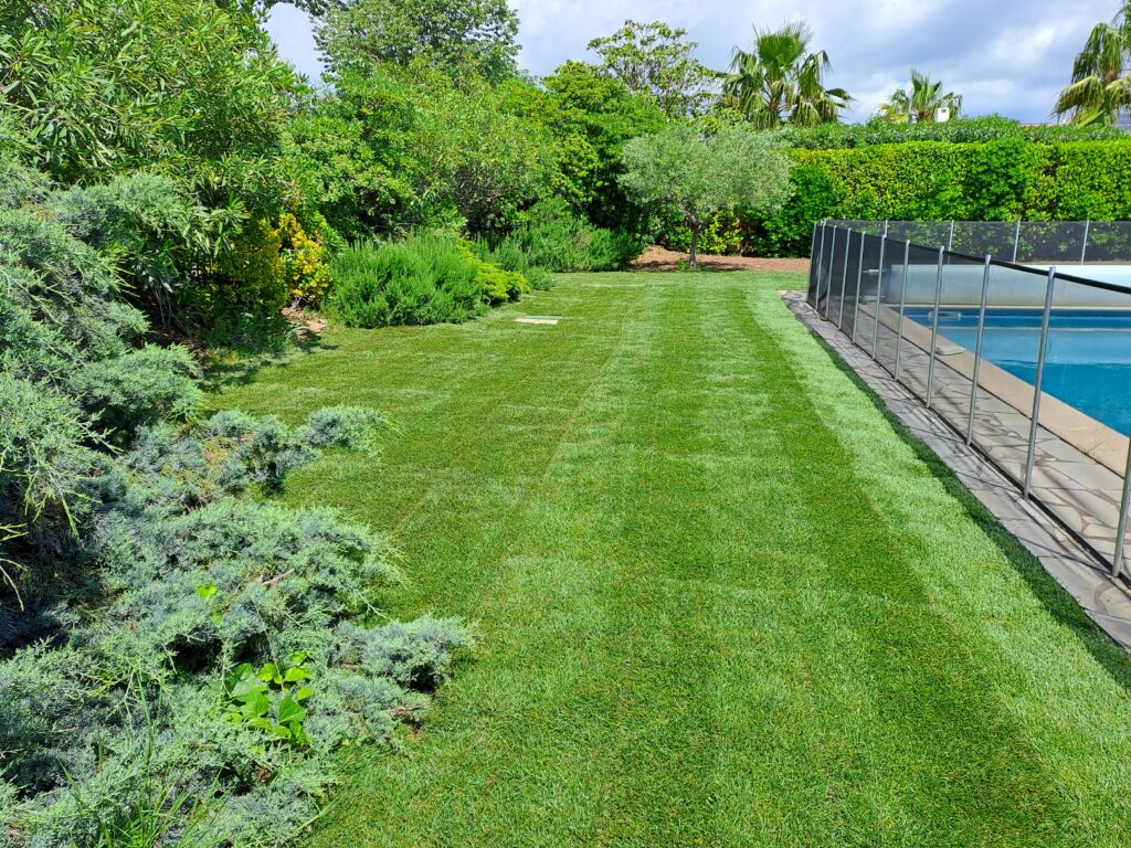 Paysagiste autour de Montpellier